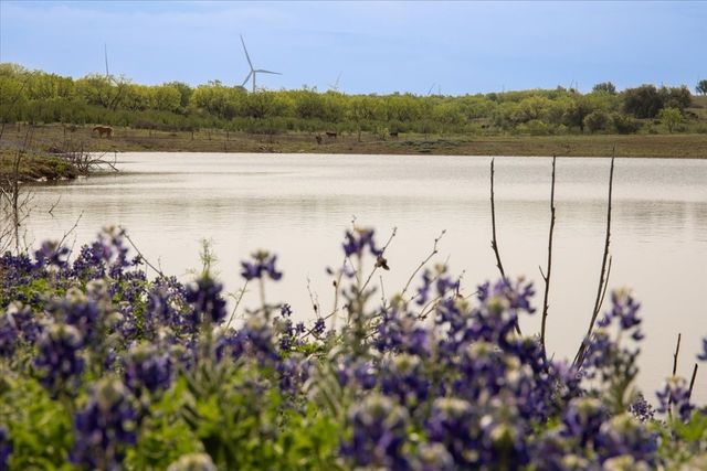 10579 Private Road 3151, Moran, TX 76464