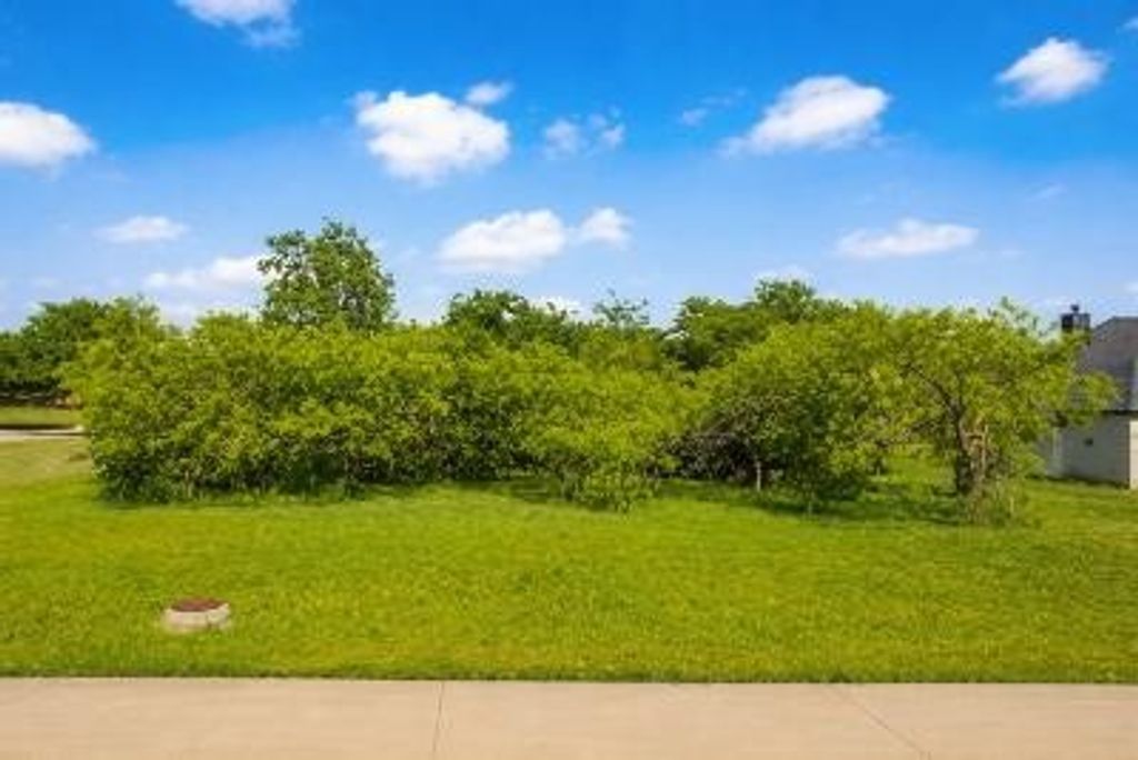 2207 Alyssum Drive, Cedar Hill, TX 75104