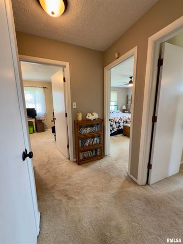 1225 Stanton Airport Road, Riverton, IL 62561