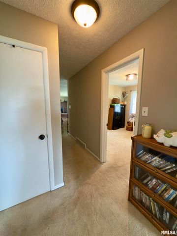 1225 Stanton Airport Road, Riverton, IL 62561