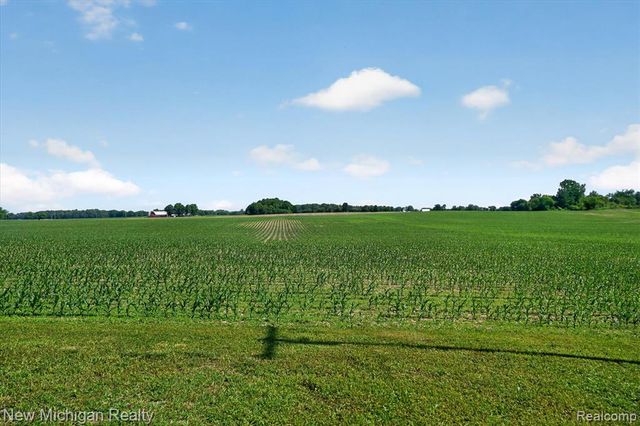 11374 Lahring Road, Byron, MI 48418