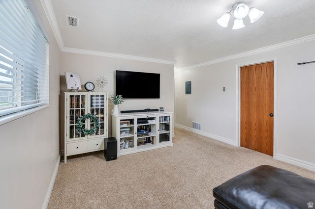 245 S 420 W, American Fork, UT 84003