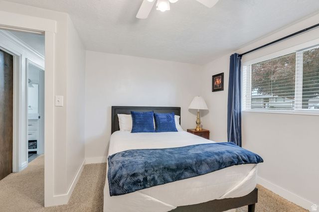 245 S 420 W, American Fork, UT 84003