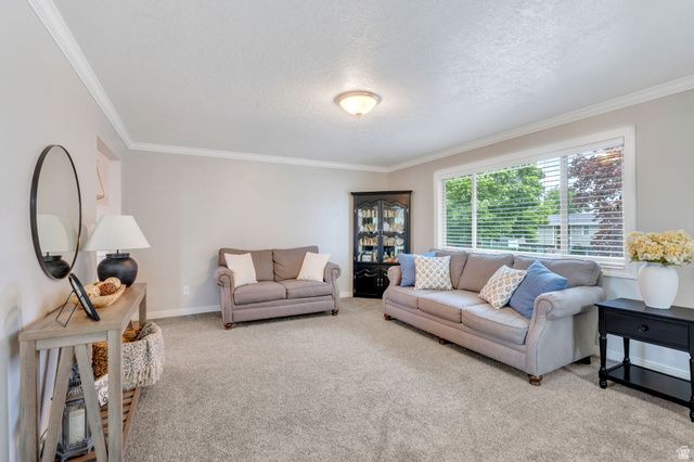 245 S 420 W, American Fork, UT 84003