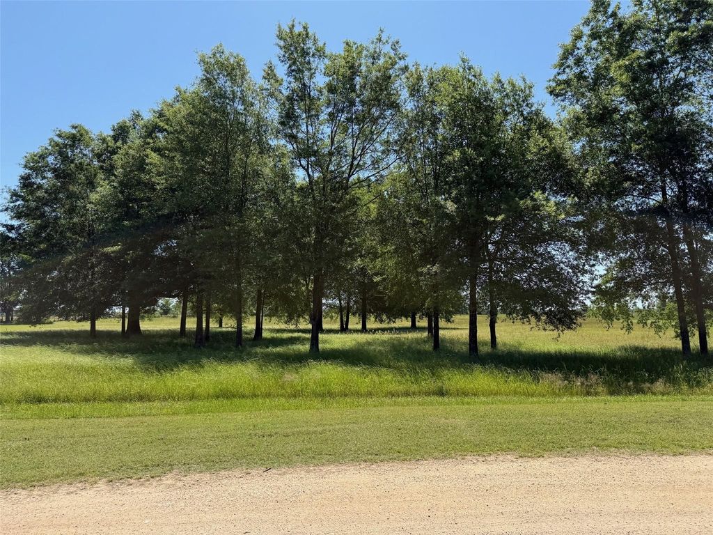 TBD 1 PR 44005, Blossom, TX 75416