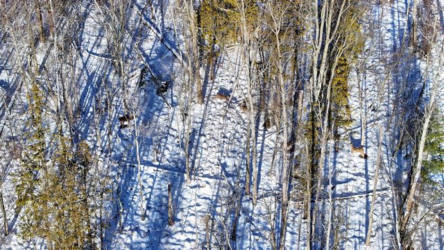 3435 18 Mile Road, Cedar Springs, MI 49319