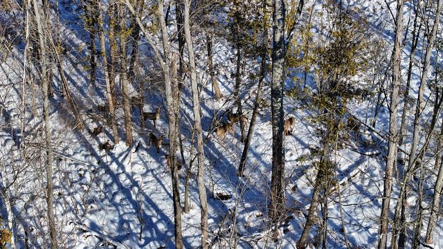 3435 18 Mile Road, Cedar Springs, MI 49319