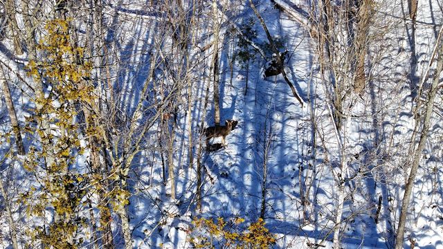 3435 18 Mile Road, Cedar Springs, MI 49319