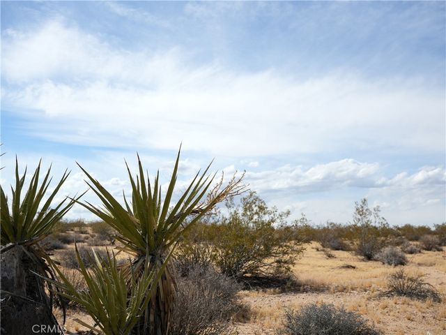 0 Belmont Street, Joshua Tree, CA 92252