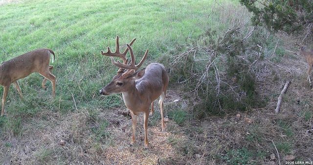 3584 Privilege Creek Road, Bandera, TX 78063