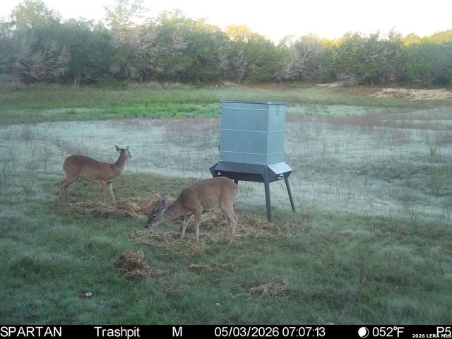 3584 Privilege Creek Road, Bandera, TX 78063