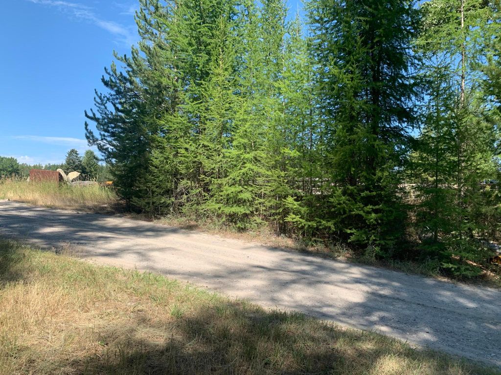 1860 Baker Avenue, Whitefish, MT 59937 photo 22