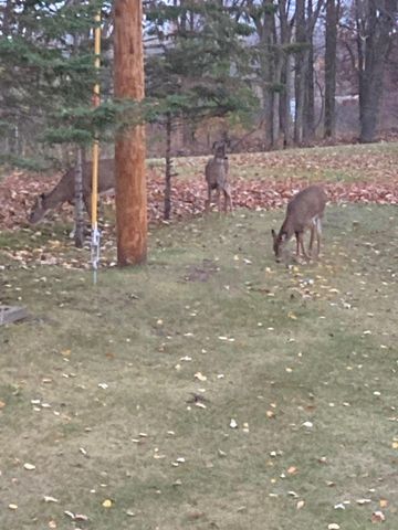 34092 Tower Road, Albany, MN 56307