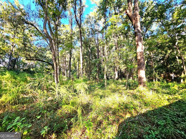 80 Mullis Lane, Kingsland, GA 31548