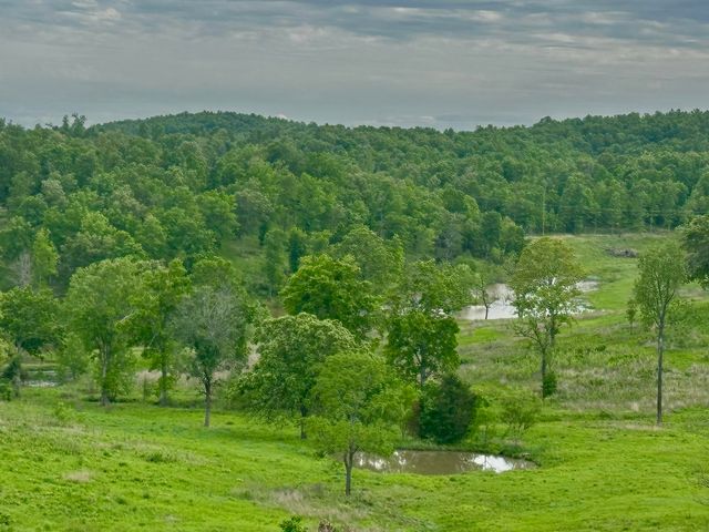 283 Big Trout Trail, Mammoth Spring, AR 72554