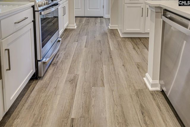 323 Granny's Cut Way, Chapin, SC 29036