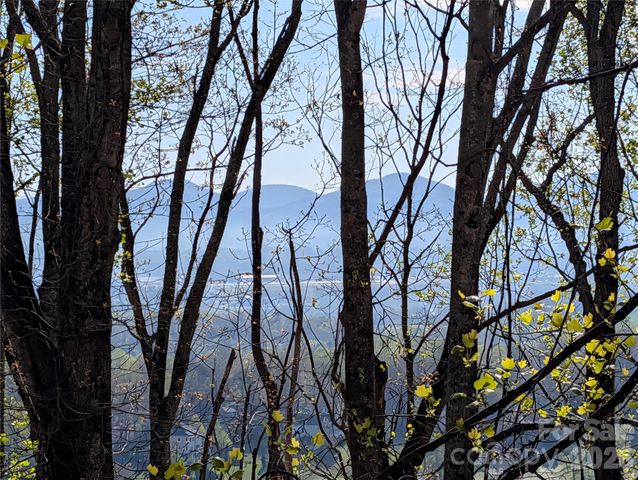 4 Wild Dogwood Trail, Mills River, NC 28759