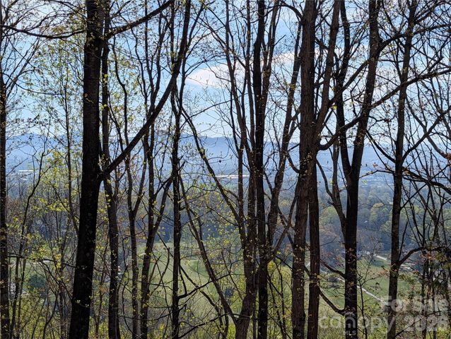 4 Wild Dogwood Trail, Mills River, NC 28759