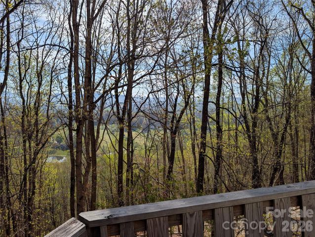 4 Wild Dogwood Trail, Mills River, NC 28759