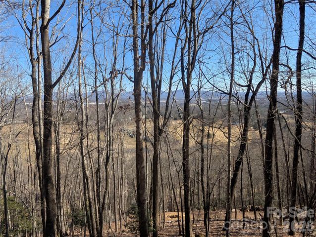 4 Wild Dogwood Trail, Mills River, NC 28759