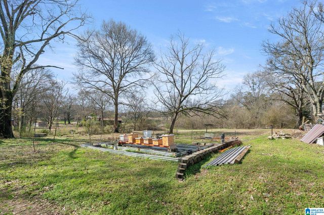 30530 HIGHWAY 25, Wilsonville, AL 35186