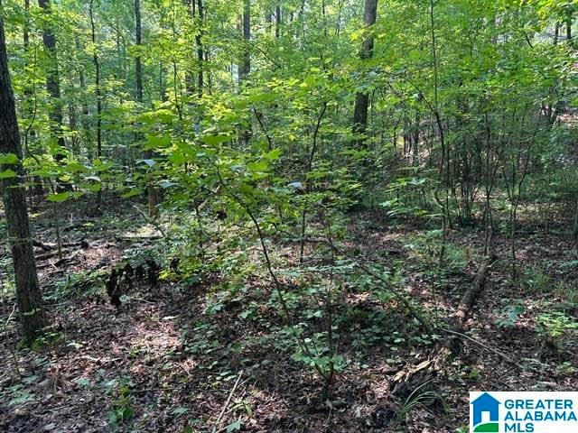 0 RENAEE CIRCLE, Mccalla, AL 35111