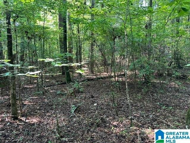 0 RENAEE CIRCLE, Mccalla, AL 35111