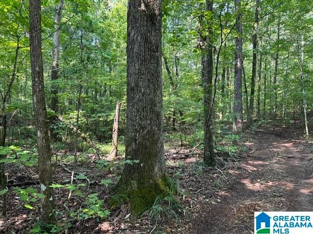 0 RENAEE CIRCLE, Mccalla, AL 35111
