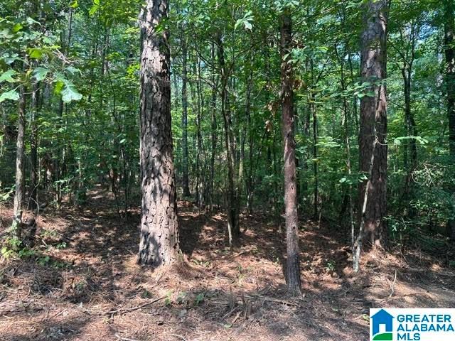 0 RENAEE CIRCLE, Mccalla, AL 35111