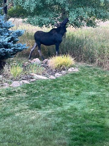 2594 Star Ridge Road, Bozeman, MT 59715