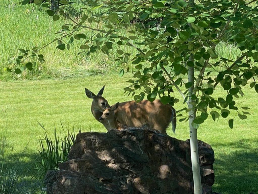 2594 Star Ridge Road, Bozeman, MT 59715 photo 77