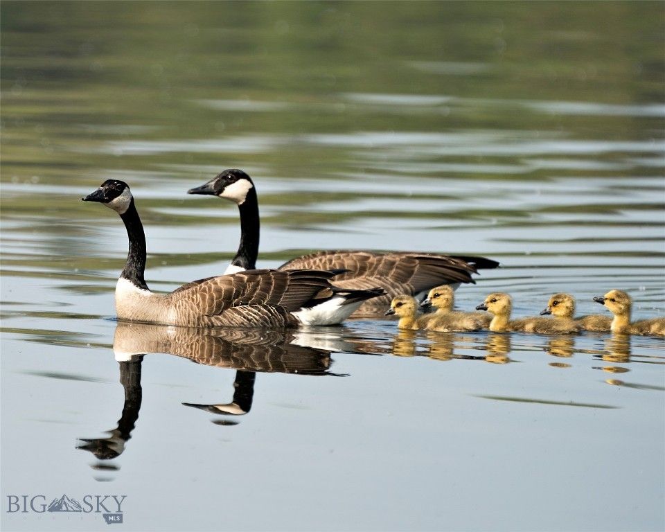 2594 Star Ridge Road, Bozeman, MT 59715 photo 80
