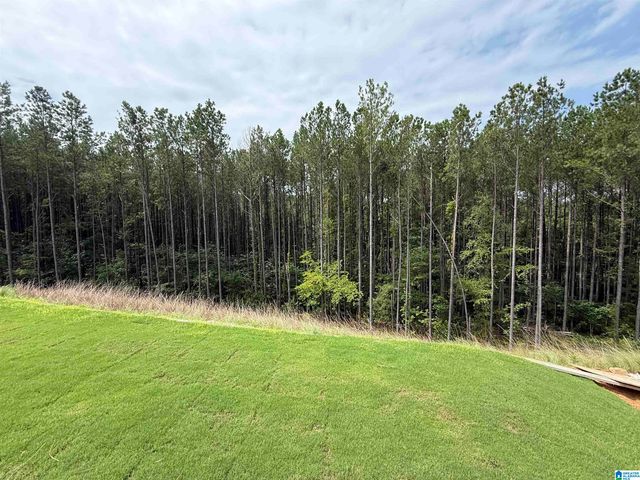 2173 CHELSEA PARK BEND, Chelsea, AL 35043
