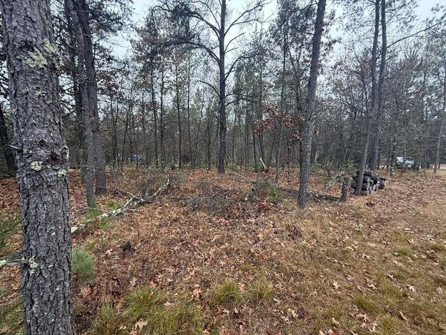 1615 Campfire Road, Nekoosa, WI 54457