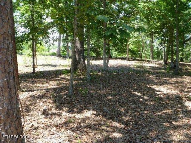 Star Lane, Rockwood, TN 37854