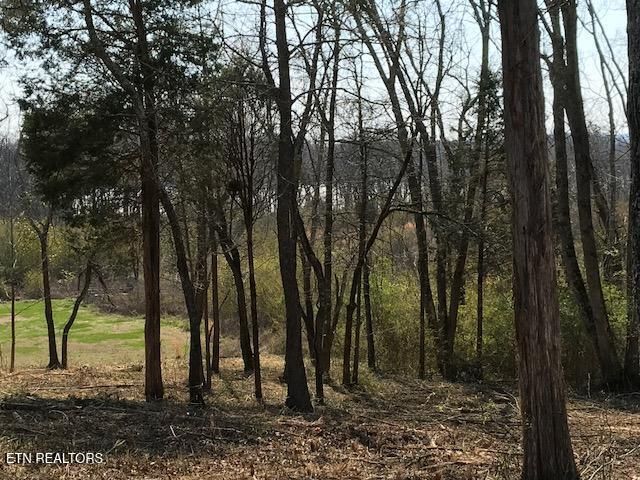Star Lane, Rockwood, TN 37854