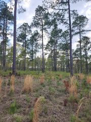 Lot 43 Pasture Creek Lane, Aiken, SC 29803