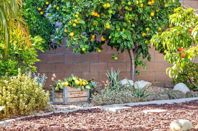 424 Roosevelt Court, Ventura, CA 93003
