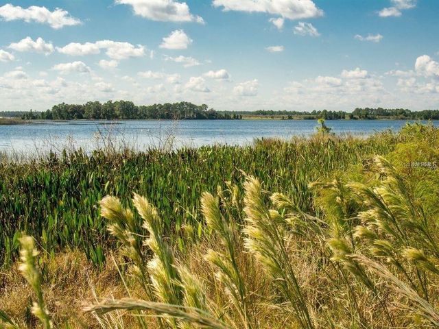 16067 PEBBLE BLUFF LOOP, Winter Garden, FL 34787