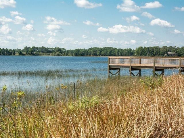 16067 PEBBLE BLUFF LOOP, Winter Garden, FL 34787