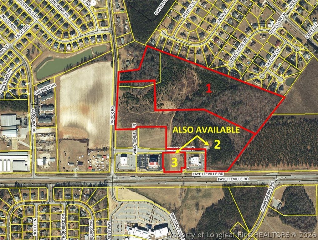 Brock Road, Raeford, NC 28376 — photo 5