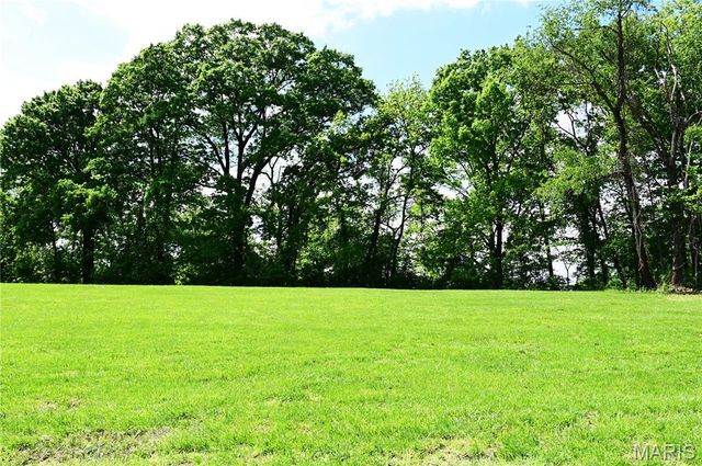 63 S Woods Mill Road, Chesterfield, MO 63017