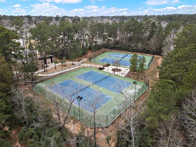 402 Elf Owl Court, Willis, TX 77318