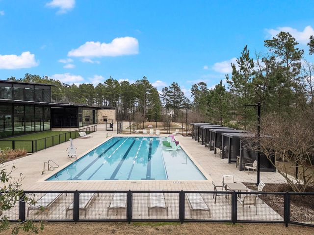 402 Elf Owl Court, Willis, TX 77318