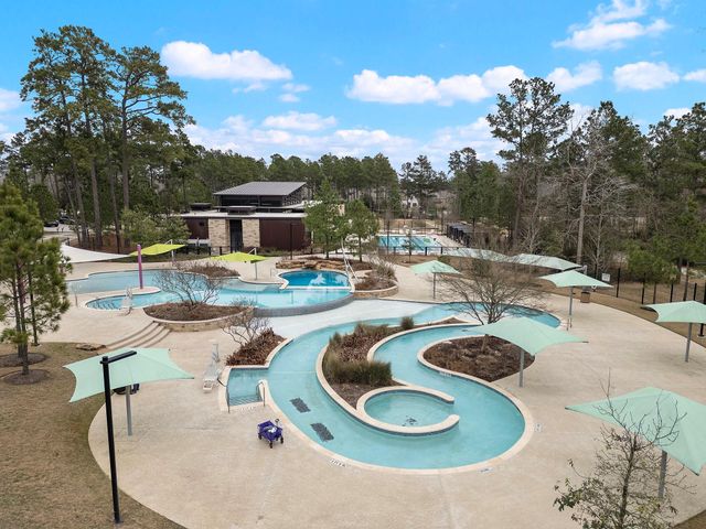 402 Elf Owl Court, Willis, TX 77318