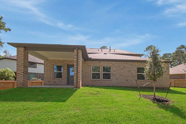 402 Elf Owl Court, Willis, TX 77318