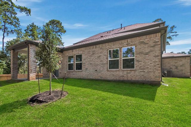 402 Elf Owl Court, Willis, TX 77318