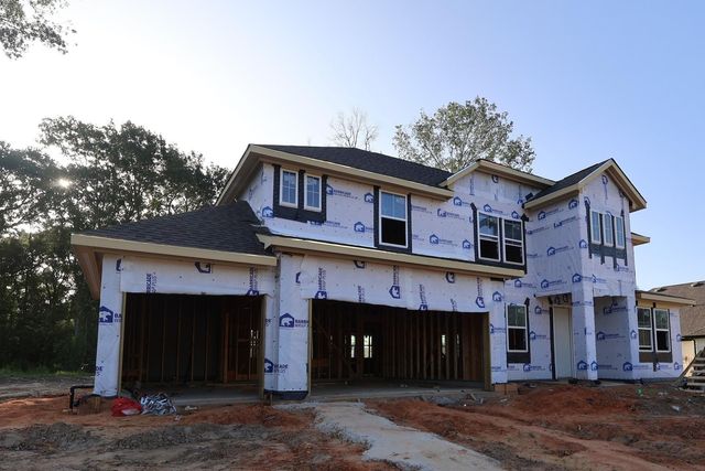 122 Roebuck Lane, New Waverly, TX 77358