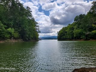 Fortunato Drive, Baneberry, TN 37890