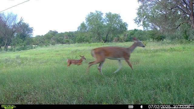 3141 Zion Hill, Seguin, TX 78155